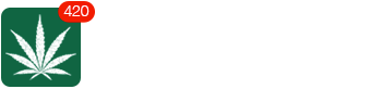 light logo